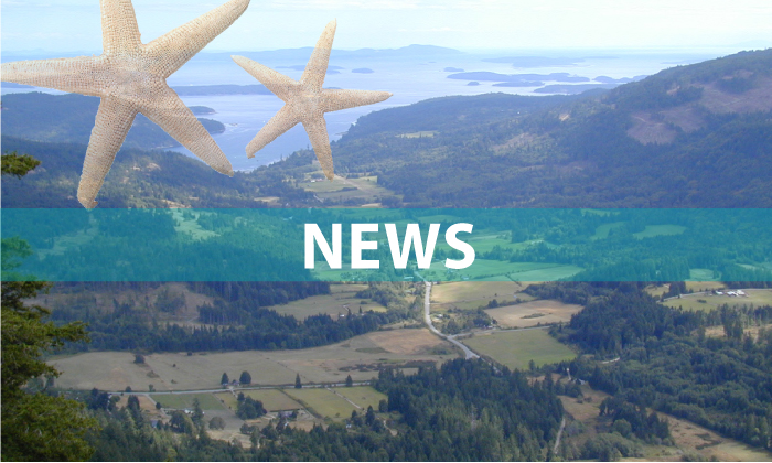 Tax-supported safety service proposed for Salt Spring