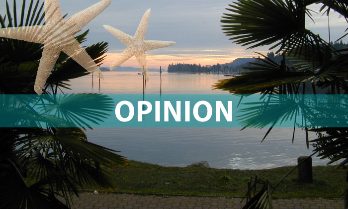 Opinion: Bylaw 530 threatens island with mass development