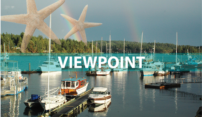 Viewpoint: Dark underbelly showing