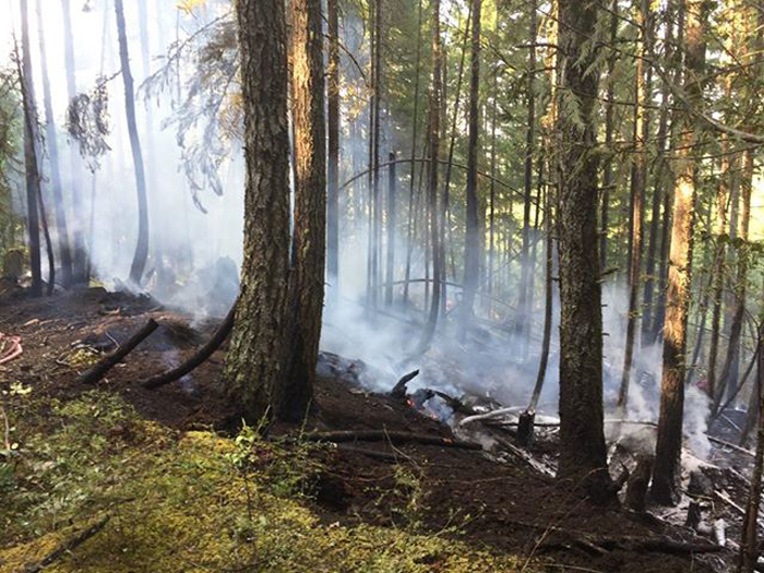 Musgrave brush fire prompts fast action from fire department