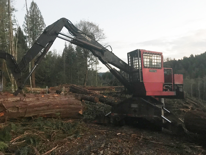 Beddis logging alarms residents