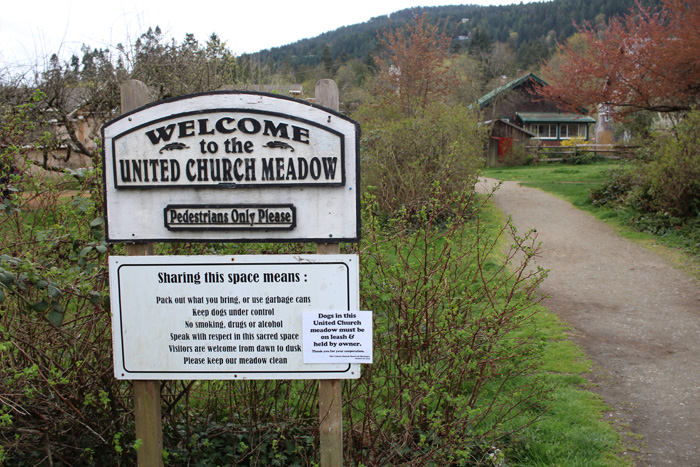 CRD takes responsibility for United Church Meadow