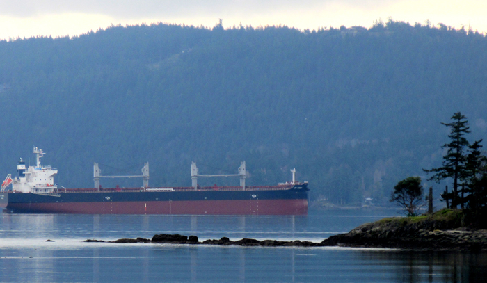 Anchored ships prompt air quality concerns