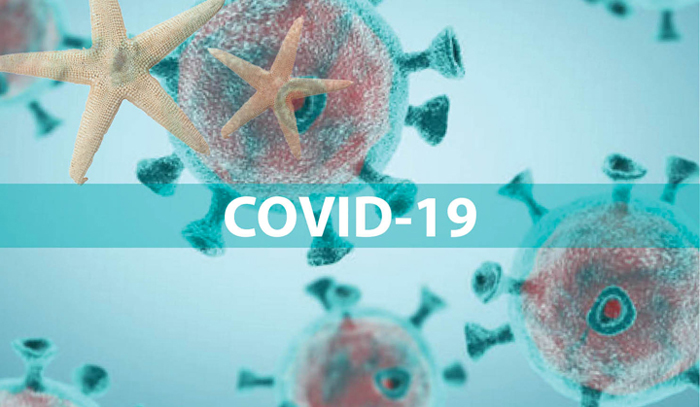Health officer explains testing strategy for COVID-19 in B.C.