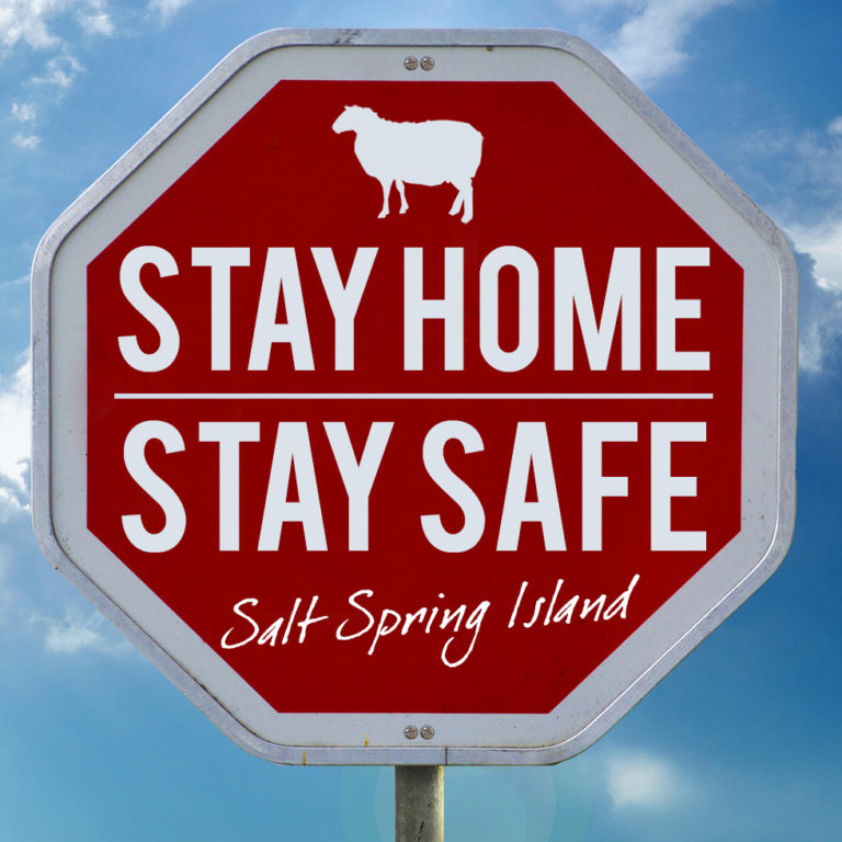 Salt Spring task force launches “Stay Home Stay Safe” campaign