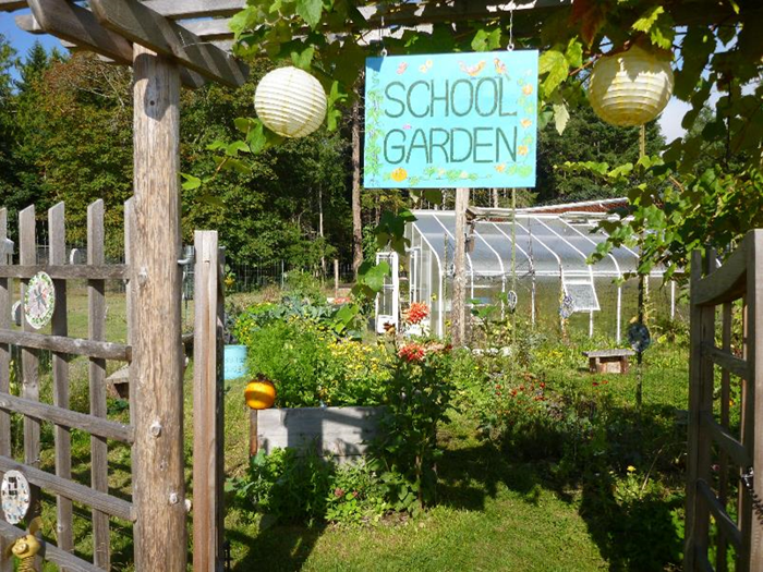 School garden programs grow resiliency