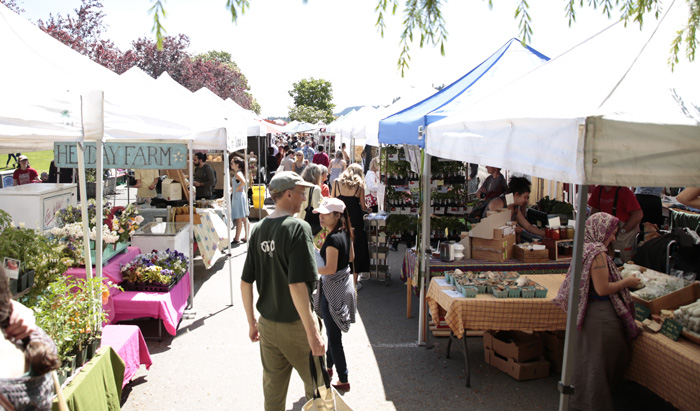 Limited market stalls open Saturday in Centennial Park