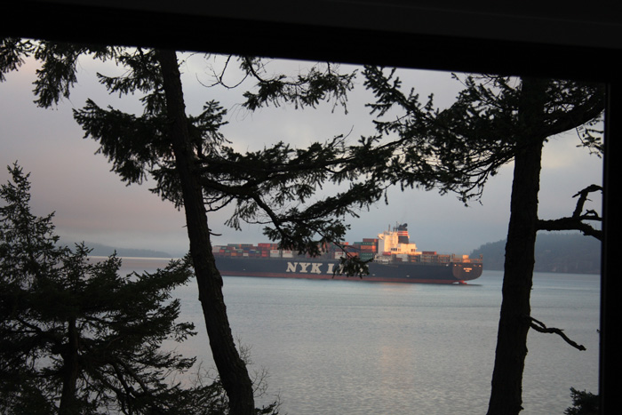 Green MPs say freighter anchorage issue is fixable