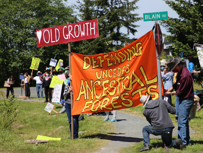 Islanders rally to protect old growth
