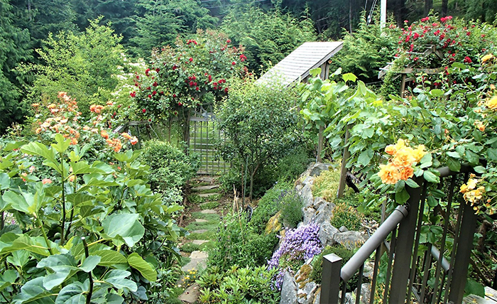 Linda Gilkeson shares resilient gardening info