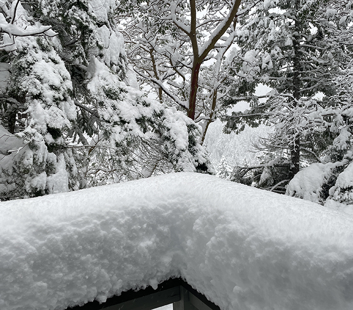 Gulf Islands buried in snow; power outages reported