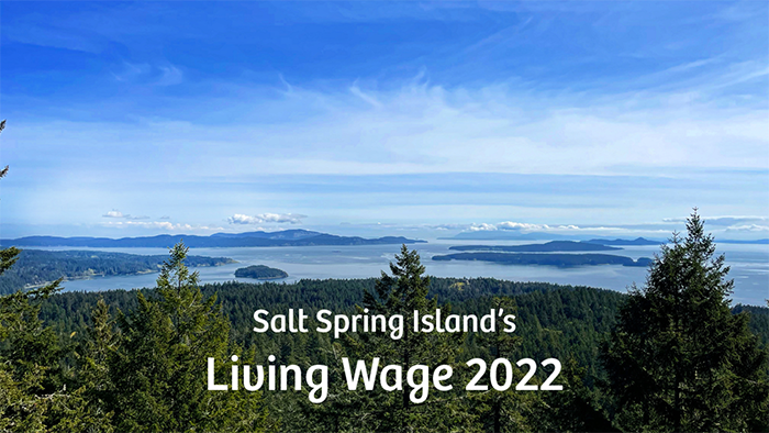 Analysis: living costs on Salt Spring higher than Victoria, Metro Vancouver