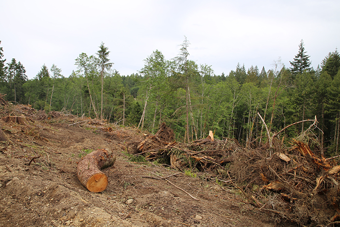 Islands Trust Council abandons attempt to get tree-cutting authority from province