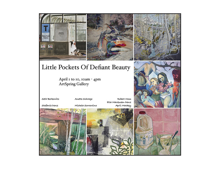 Little Pockets of Defiant Beauty opens at ArtSpring