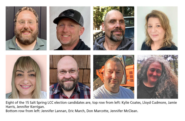 Eight more candidates profiled for Salt Spring’s LCC election