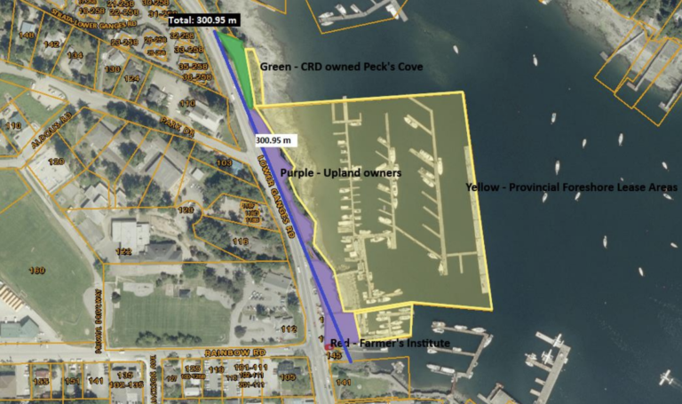 Harbourwalk steering committee plans review before outreach